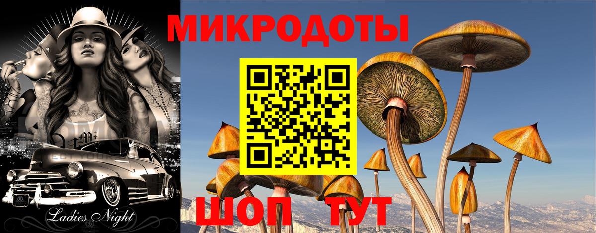 Псилоцибиновые грибы прущие грибы Ленинск-Кузнецкий